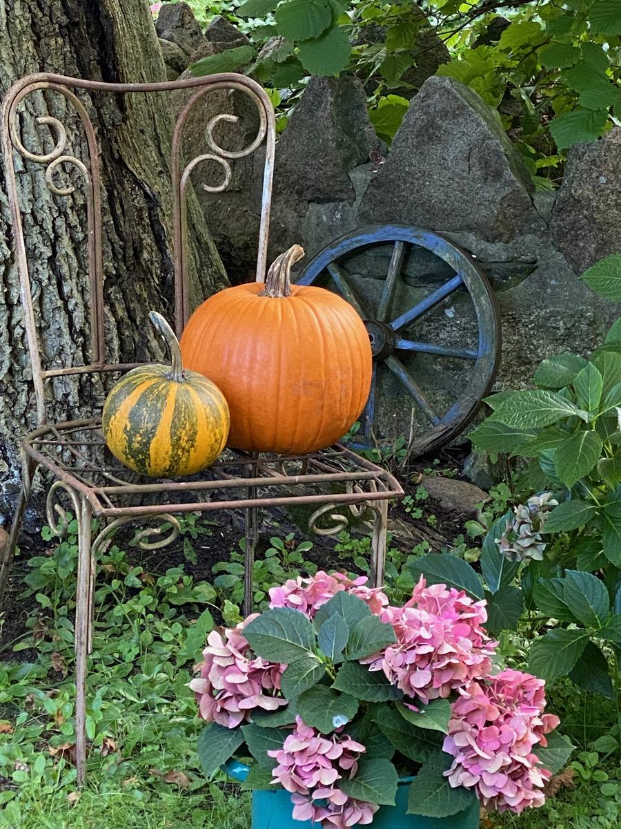 Herbstgarten